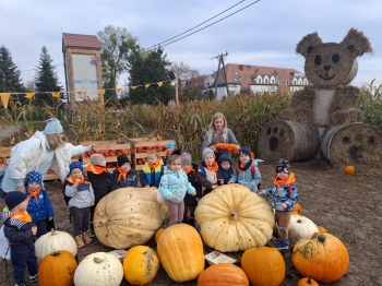 inbound4379939439830357625