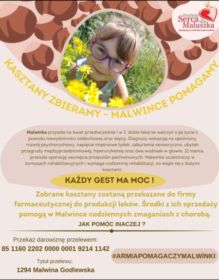   KASZTANY ZBIERAMY – MALWINCE POMAGAMY! 